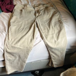 Avenue tan 22 petite jeans